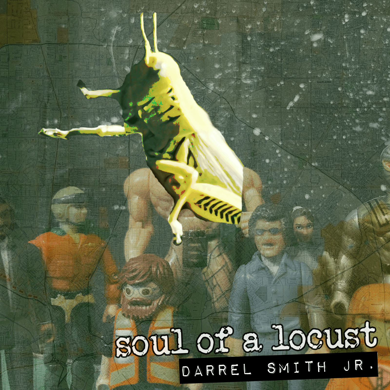 Soul of a Locust by Darrel Smith Jr.